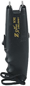 zf-sm.jpg